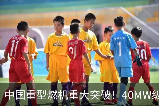 中国重型燃机重大突破！40MW级并网成功，万吨大舰动力自由了！