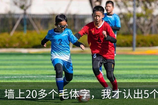 墙上20多个毛体字，我才认出5个！能全认出来的，读书是真下功夫了。学草书应该反复练一本帖，还是多看几家？